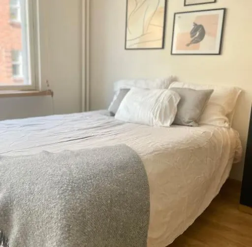 Lovely Studio In The Famous Design District Area.